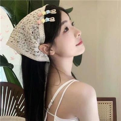 树袋熊